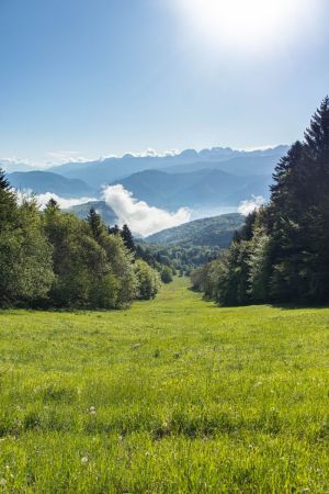 Sur la piste