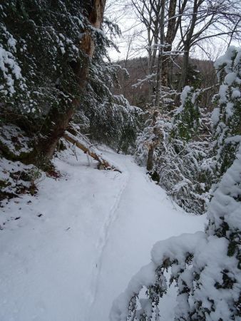 Amont de la cascade des Gorges