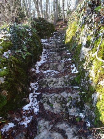 Vers la Croix Coquet