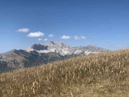 Le Plateau de Bure.