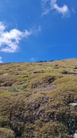 2200m, on y verra une harde de chamois et quelques bouquetins