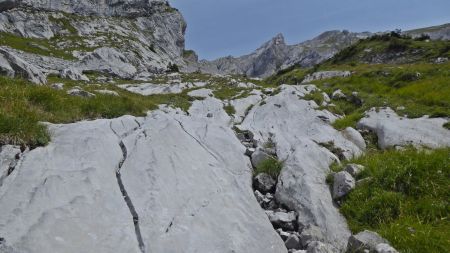 Sentier raccourci dans la combe, vue arrière