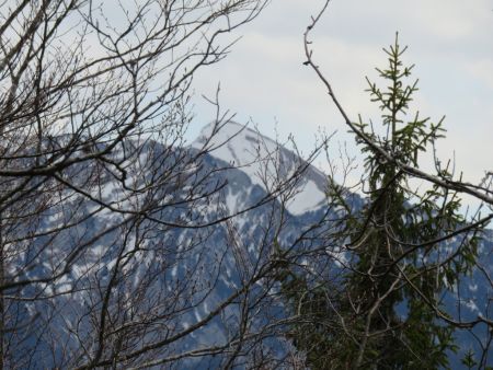 Vue sur les Bauges