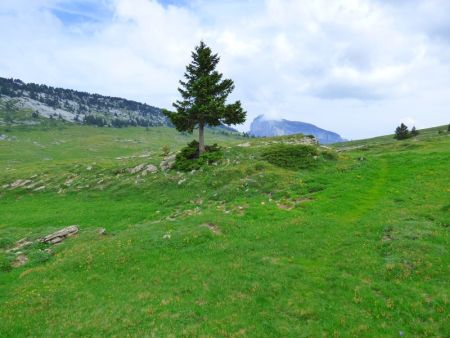 une petite partie du plateau