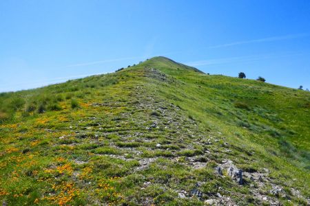 On monte maintenant dans la prairie.