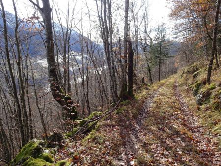 Chemin du Bois de Tioule