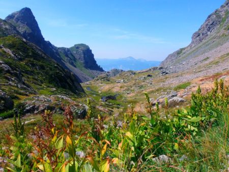 Dans le Vallon du Mercier.