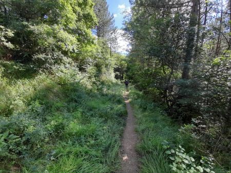 Sentier vers Meyrueis