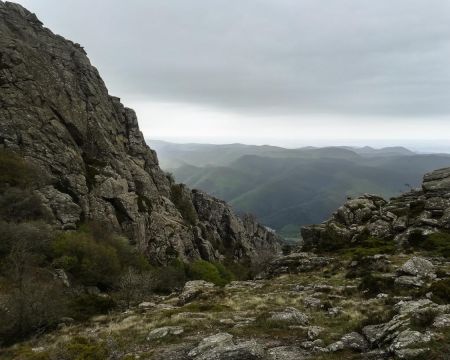 En montant au rocher de Lucet - mouflon (sur le rocher à droite)