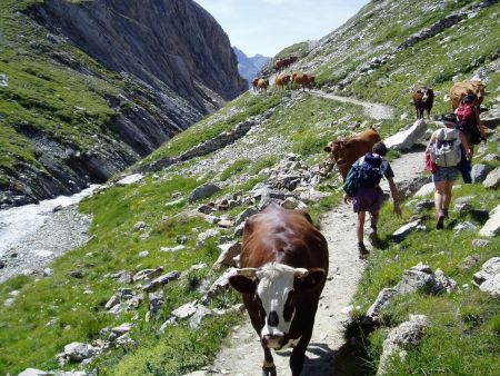 A la descente, on partage le chemin...