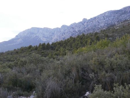 Dernier regard sur la Sainte-Victoire.