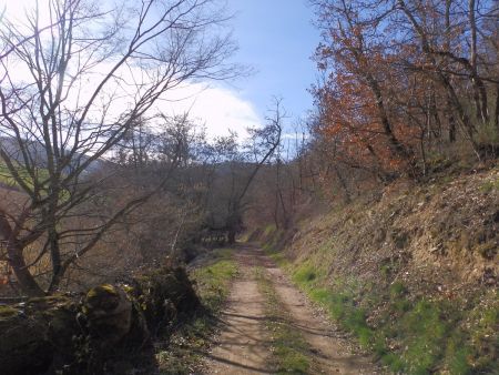 En direction de la Ferrandière.