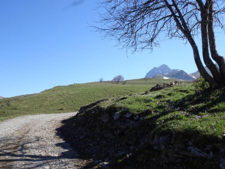 En vue de la Croix d’Allant