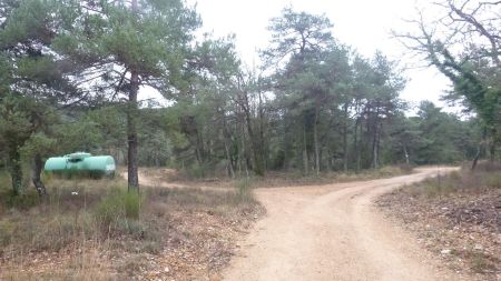 Vue arrière sur le croisement de pistes (le retour se fera par celle de gauche)