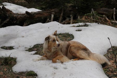 Encore de la neige !!