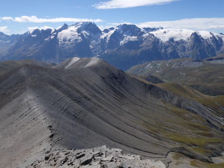 La crête suivie, sur fond de glaciers des Écrins...