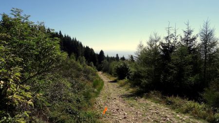 Jonction avec la piste.